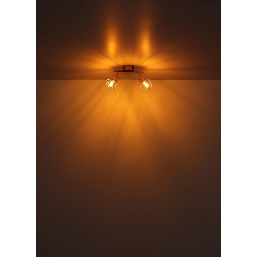 Globo - Точковий світильник 2xE14/40W/230V золотий
