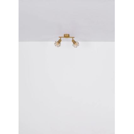 Globo - Точковий світильник 2xE14/40W/230V золотий