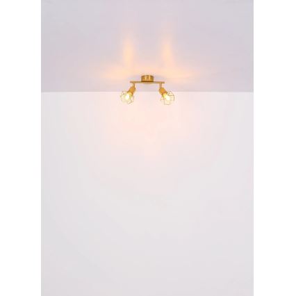 Globo - Точковий світильник 2xE14/40W/230V золотий