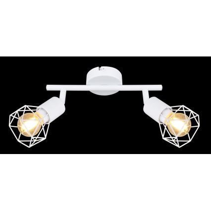 Globo - Точковий світильник 2xE14/40W/230V