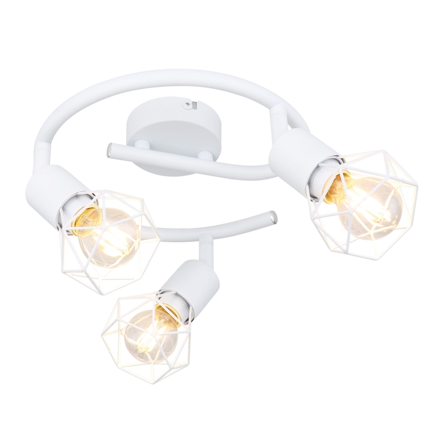 Globo 54802W-3 - Прожектор XARA 3xE14/40W/230V