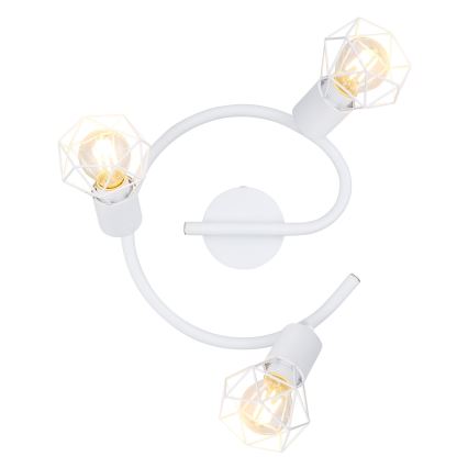 Globo 54802W-3 - Прожектор XARA 3xE14/40W/230V