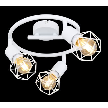 Globo - Точковий світильник 3xE14/40W/230V