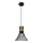 Globo 54814H - Люстра на тросе PURRA 1xE27/60W/230V