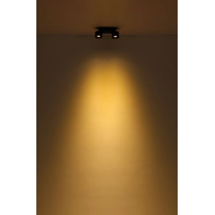 Globo - Светодиодный точечный светильник 2xLED/6W/230V черный