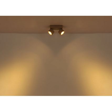 Globo - светодиодный точечный светильник 2xLED/6W/230V