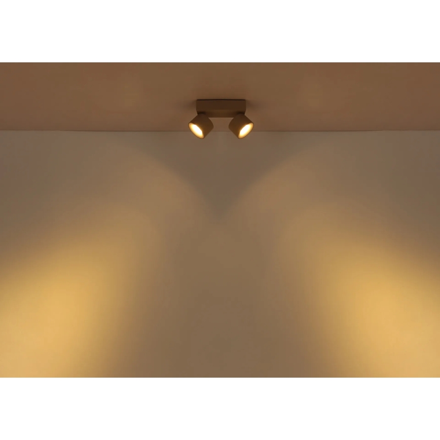 Globo - светодиодный точечный светильник 2xLED/6W/230V