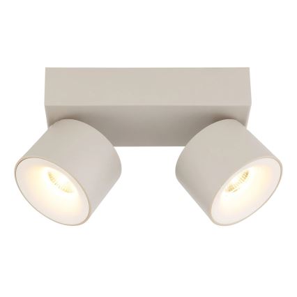 Globo - светодиодный точечный светильник 2xLED/6W/230V