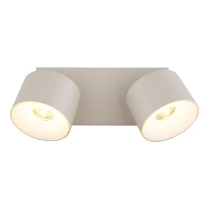 Globo - светодиодный точечный светильник 2xLED/6W/230V