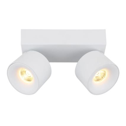 Globo - Світлодіодний точковий світильник 2xLED/6W/230V білий