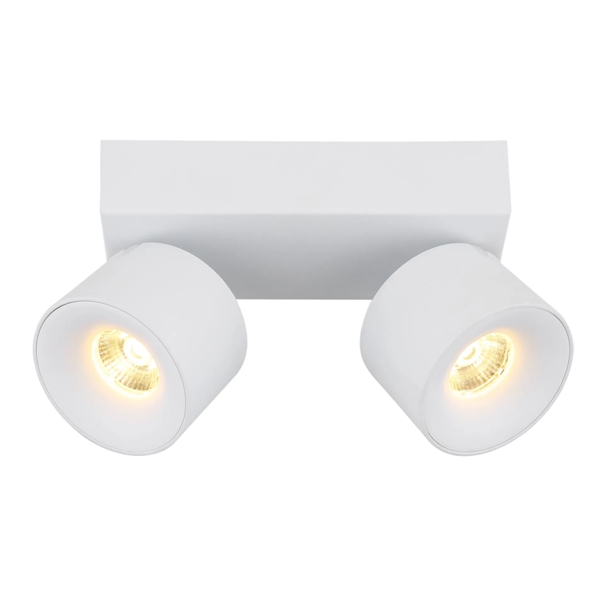 Globo - Світлодіодний точковий світильник 2xLED/6W/230V білий