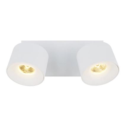 Globo - Світлодіодний точковий світильник 2xLED/6W/230V білий