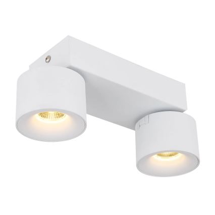 Globo - Світлодіодний точковий світильник 2xLED/6W/230V білий