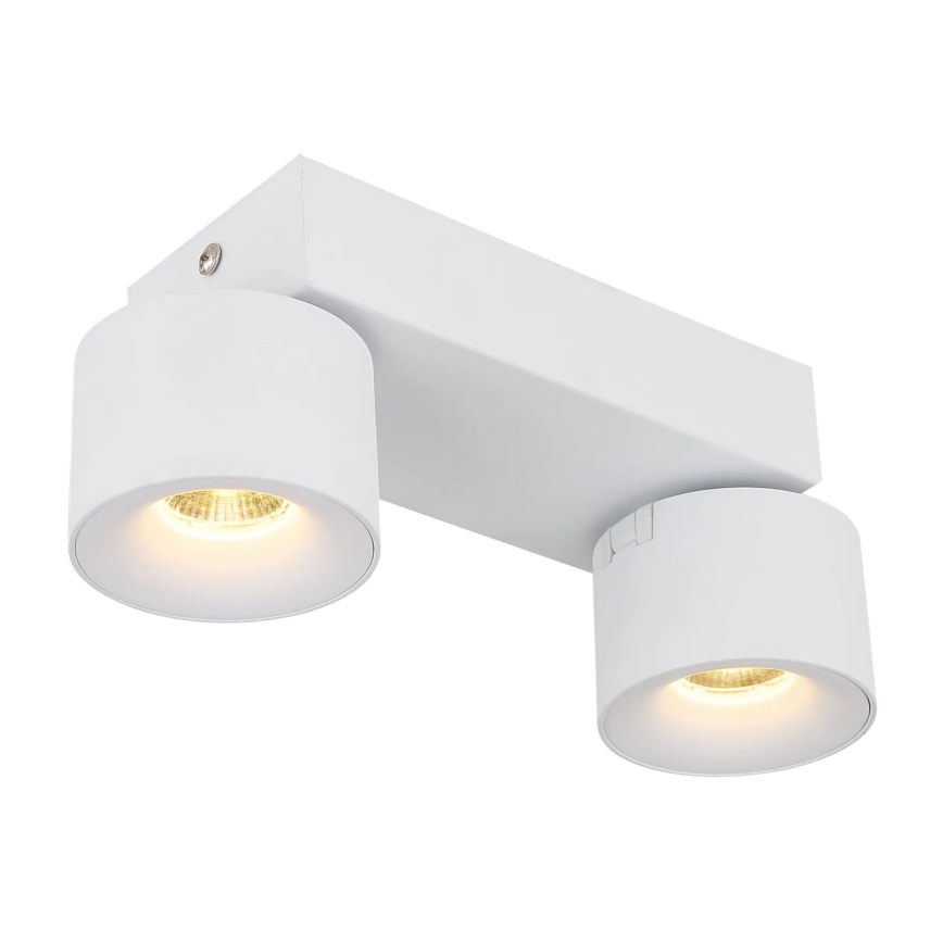 Globo - Світлодіодний точковий світильник 2xLED/6W/230V білий