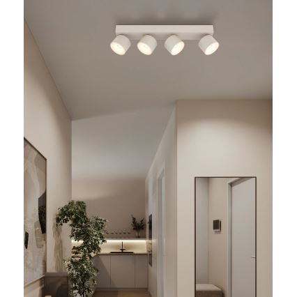 Globo - точечный светильник LED 4xLED/6W/230V