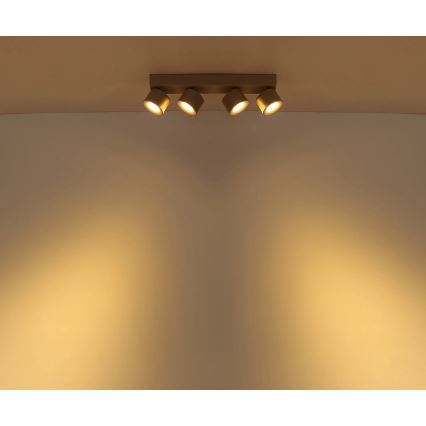 Globo - точечный светильник LED 4xLED/6W/230V