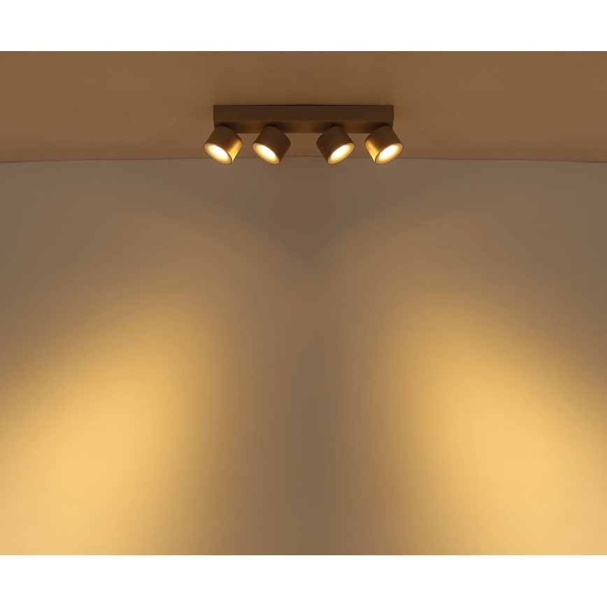 Globo - точечный светильник LED 4xLED/6W/230V