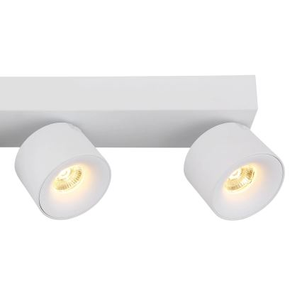 Globo - Светодиодный точечный светильник 4xLED/6W/230V белый