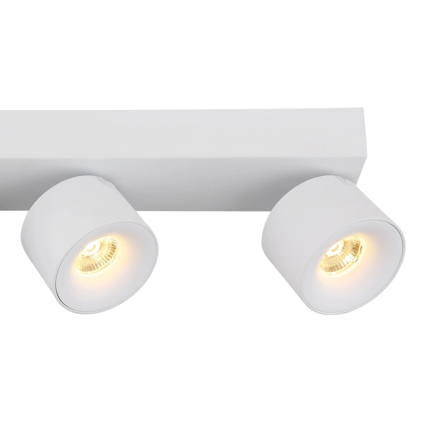 Globo - Светодиодный точечный светильник 4xLED/6W/230V белый