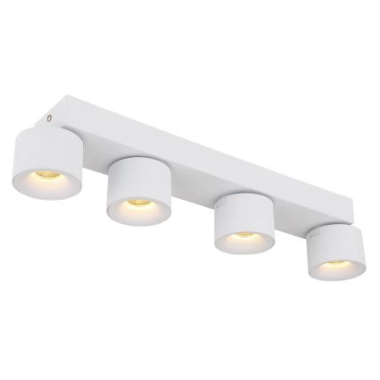 Globo - Светодиодный точечный светильник 4xLED/6W/230V белый
