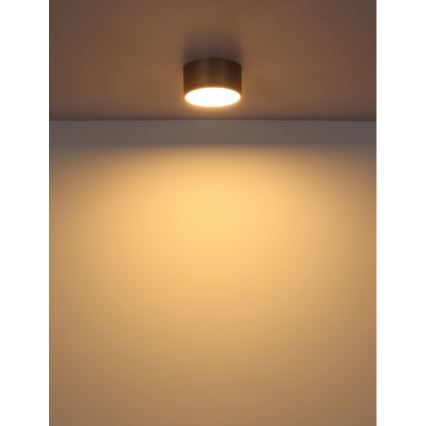 Globo - LED-потолочный светильник LED/12W/230V, диаметр 15 см, 3000K (тёплый белый), латунь