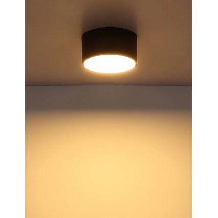 Globo - LED стельовий світильник LED/12W/230V 3000K діам. 15 см чорний