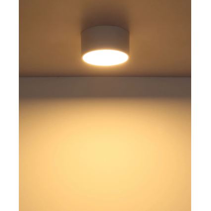 Globo - светодиодный потолочный светильник LED/12W/230V 3000K, Ø 15 см, белый