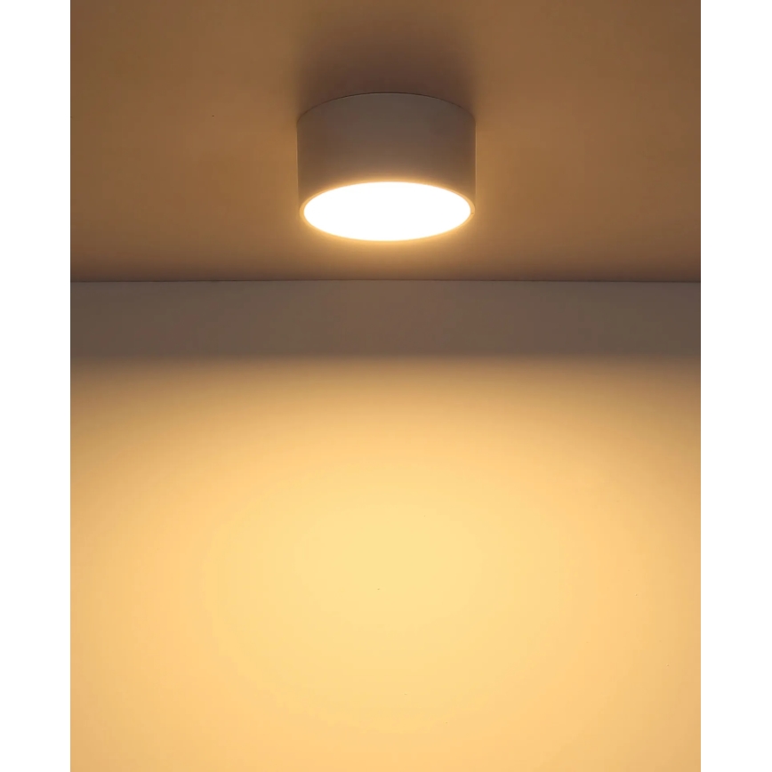 Globo - светодиодный потолочный светильник LED/12W/230V 3000K, Ø 15 см, белый