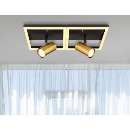 Globo - Стельовий LED світильник 2xGU10/5W/230V + LED/22W/230V