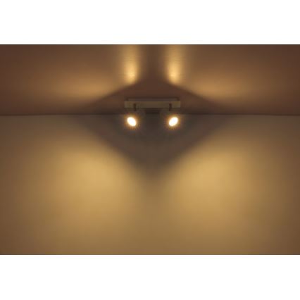 Globo - Точечный светильник 2xGU10/35W/230V