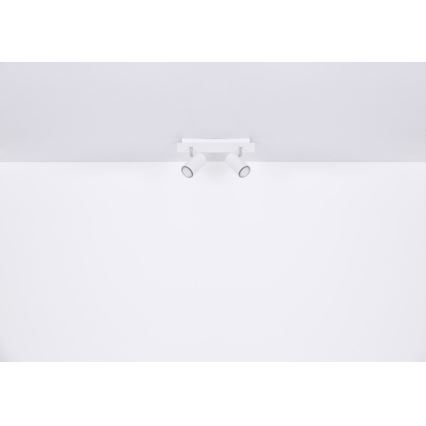 Globo - Точечный светильник 2xGU10/35W/230V