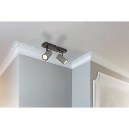 Globo - Точечный светильник 2xGU10/25W/230V
