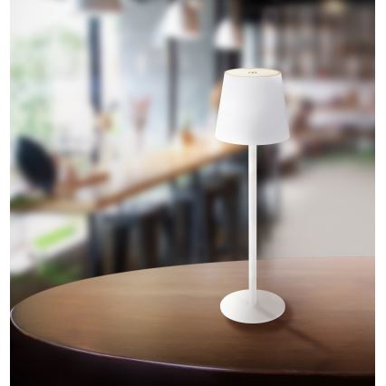 Globo - LED Сенсорна вулична лампа з регулюванням яскравості LED/3W/3,7V IP44 1800 mAh USB білий