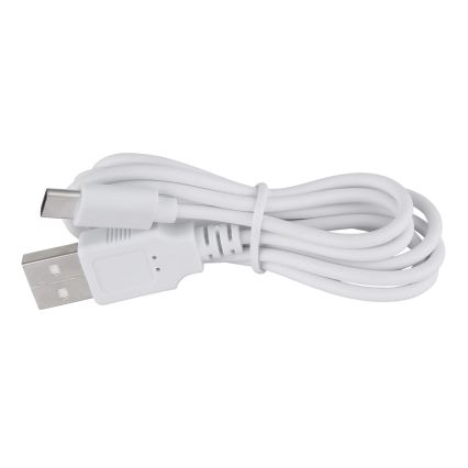 Globo - Светодиодная сенсорная настольная лампа с диммером LED/1W/3,7V 3000K 1800 mAh USB розовая