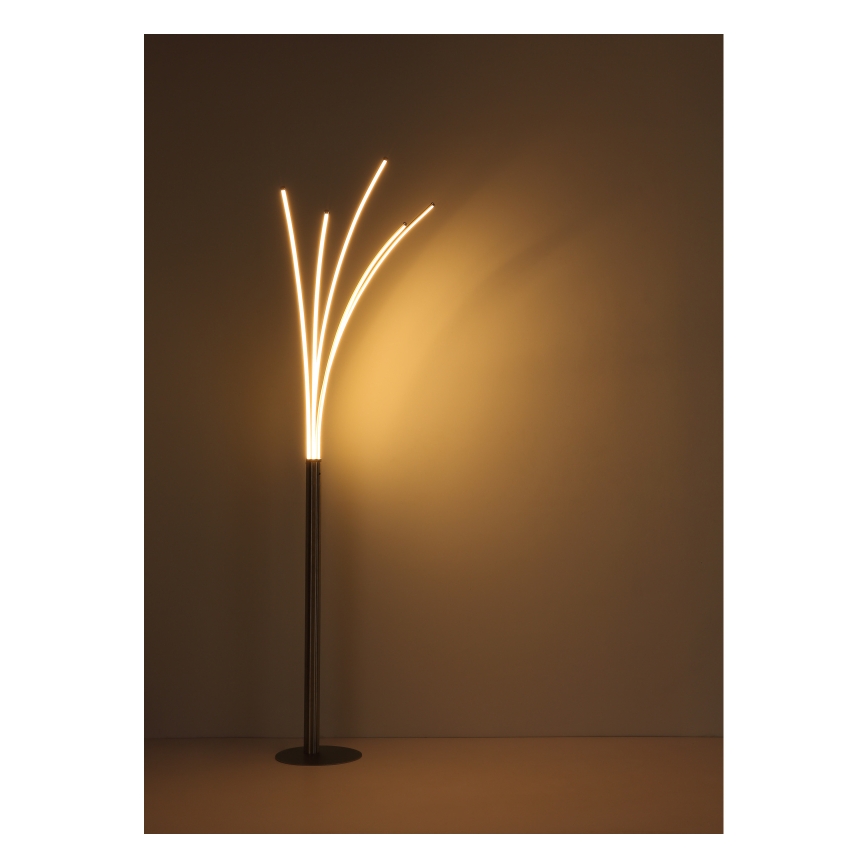 Globo - LED сенсорный напольный светильник с диммером LED/36W/230V