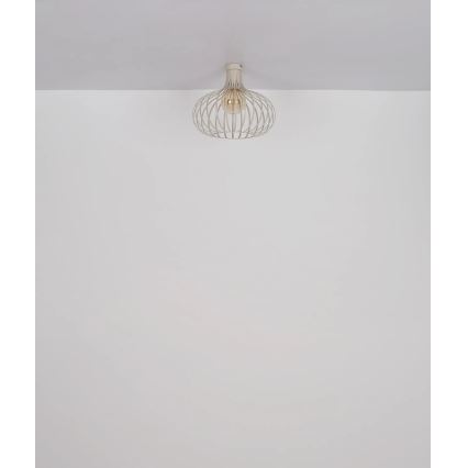 Globo - Потолочный светильник 1xE27/40W/230V