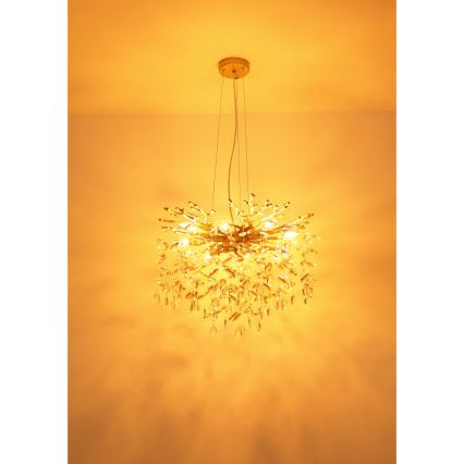 Globo - Підвісна люстра на тросі 8xE14/40W/230V золота