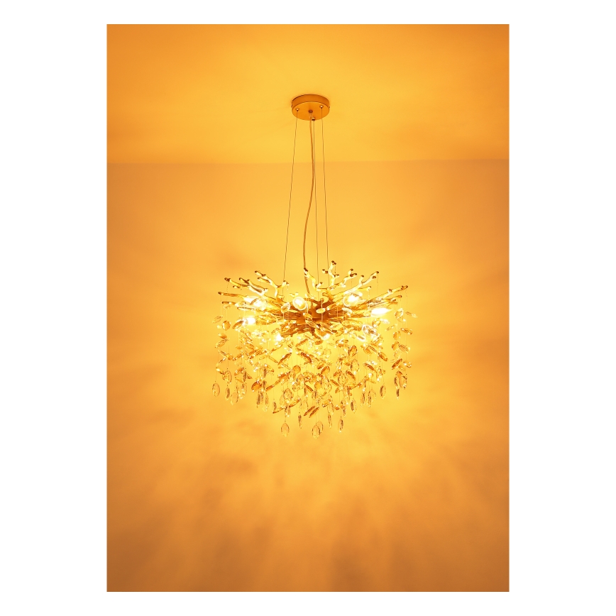 Globo - Підвісна люстра на тросі 8xE14/40W/230V золота