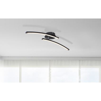Globo - Светодиодная потолочная люстра 2xLED/6W/230V 3000/4000/6000K