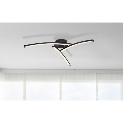 Globo - Светодиодная потолочная люстра 3xLED/6W/230V 3000/4000/6000K