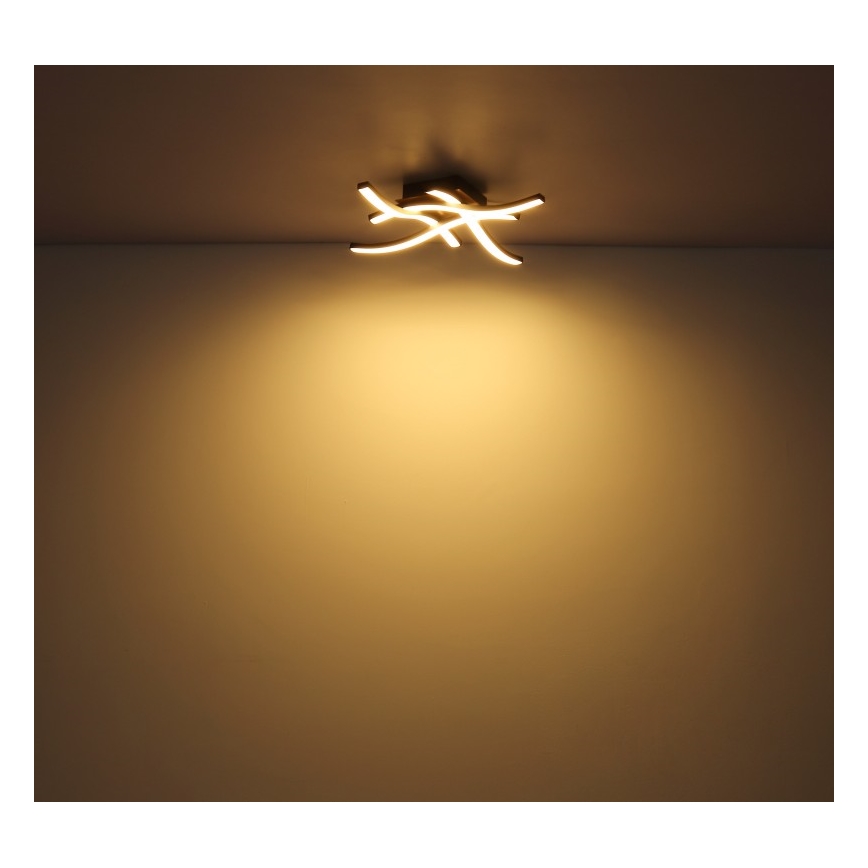 Globo - Пристельова LED люстра 4xLED/5W/230V