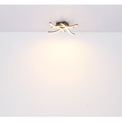 Globo - Пристельова LED люстра 4xLED/5W/230V