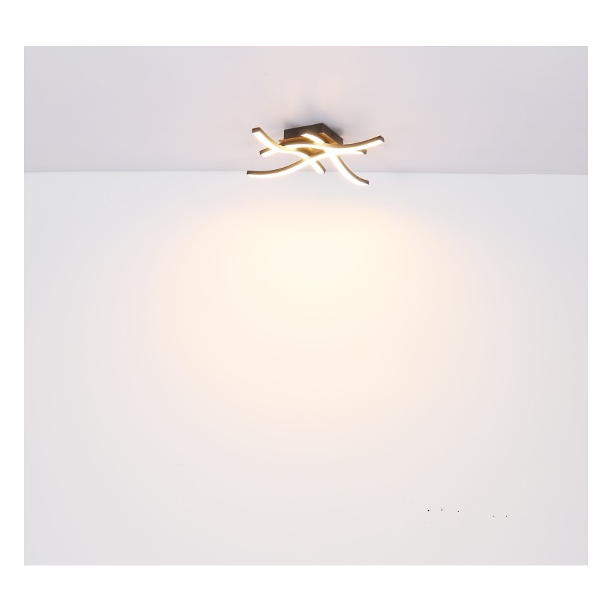 Globo - Пристельова LED люстра 4xLED/5W/230V