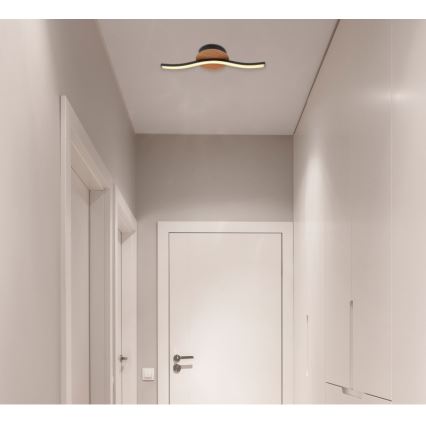 Globo - Светодиодный потолочный светильник LED/6W/230V