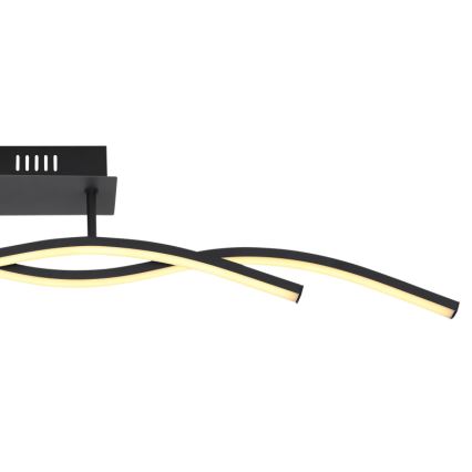 Globo 67172D - Стельовий LED світильник MARIUS LED/20W/230V 3000K