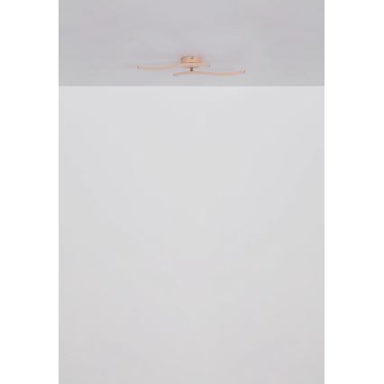 Globo - Пристельова LED люстра LED/12W/230V 3000K помаранчевий
