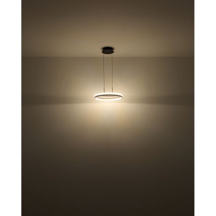 Globo - Светодиодная подвесная люстра LED/40W/230V 3000/4000/6000K диаметр 39,7 см коричневый
