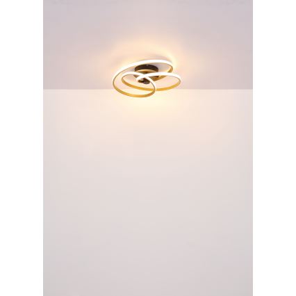 Globo - Пристельова LED люстра LED/40W/230V 3000K золотий/чорний