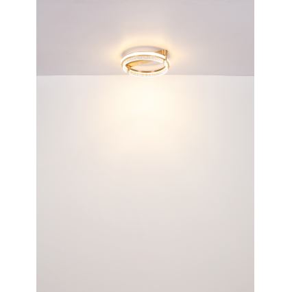 Globo - LED Хрустальный потолочный светильник с регулированием яркости LED/36W/230V 2700K-6000K + дистанционное управление