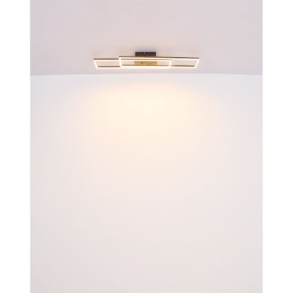 Globo - Светодиодный потолочный светильник LED/30W/230V 3000K 60x80 см черный